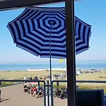 Seahorse * Katwijk aan Zee
