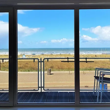 Seahorse Katwijk aan Zee