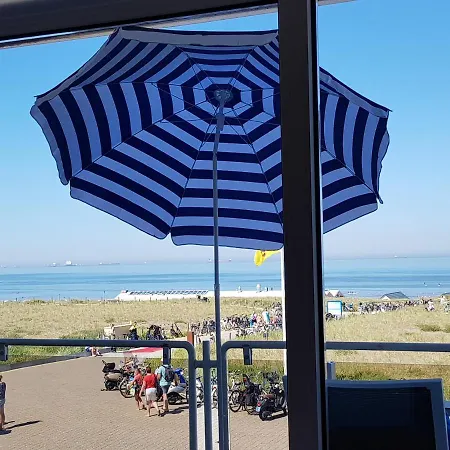 Seahorse * Катвейк-ан-Зе