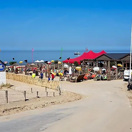 B&B Seahorse 카트베이크안제이