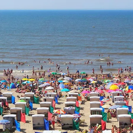 Seahorse * Katwijk aan Zee