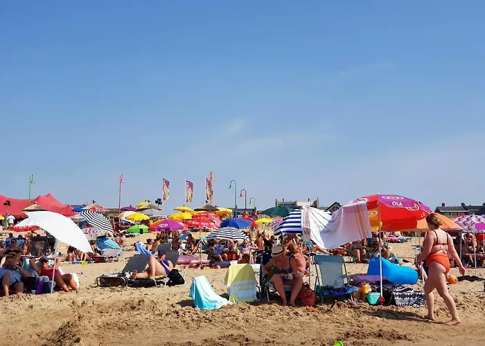 Seahorse Bed & Breakfast