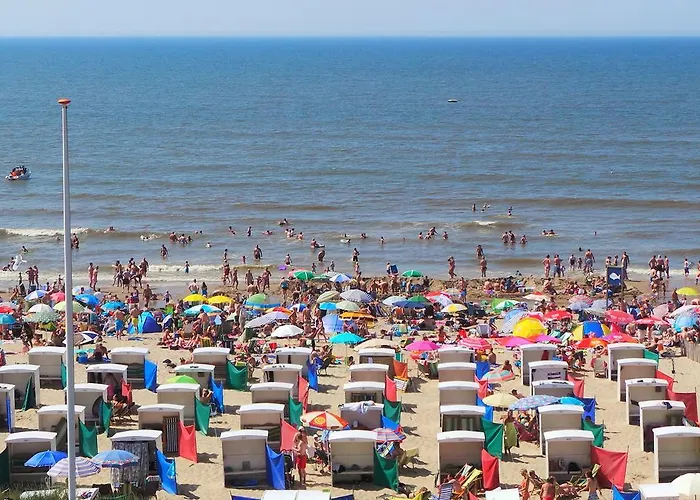 Seahorse * Katwijk aan Zee