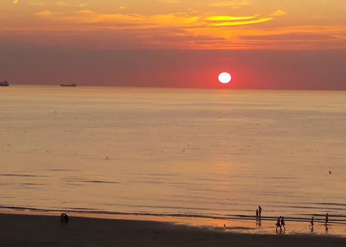Seahorse * Katwijk aan Zee