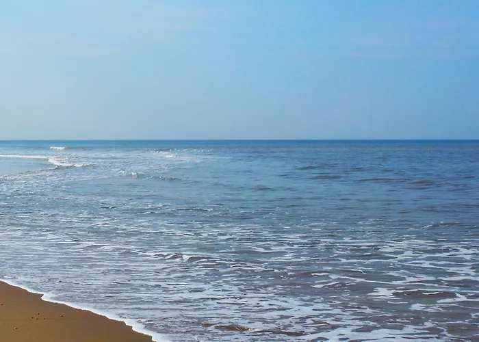 Seahorse * Katwijk aan Zee