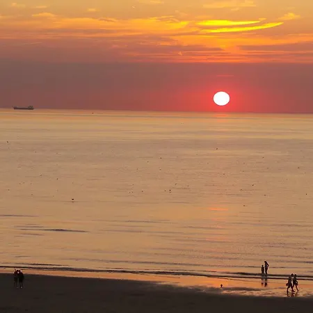 Seahorse * Katwijk aan Zee