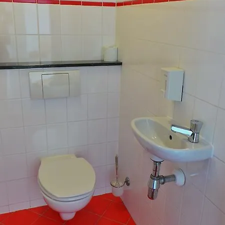 Seahorse * Katwijk aan Zee