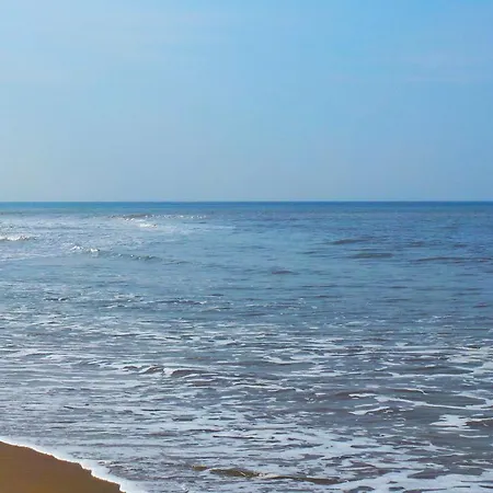 Seahorse * Katwijk aan Zee