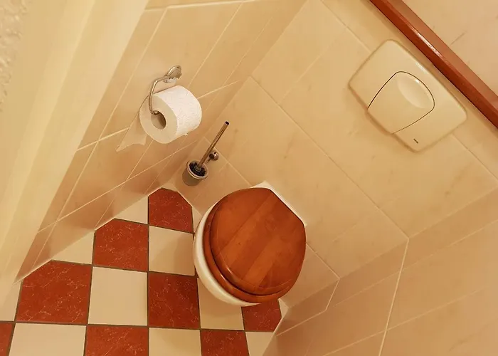 Seahorse Couette-café