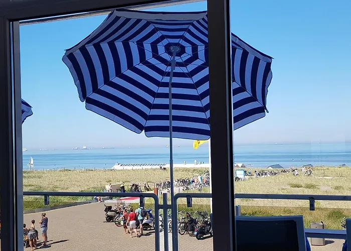 Seahorse * Katwijk aan Zee