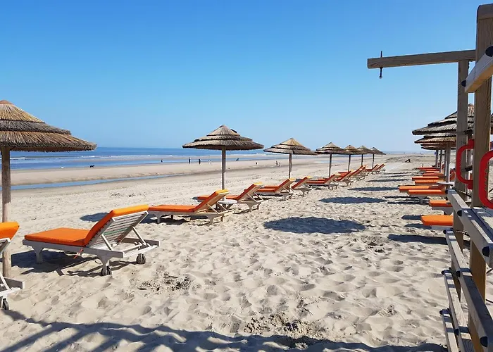 Seahorse Couette-café *